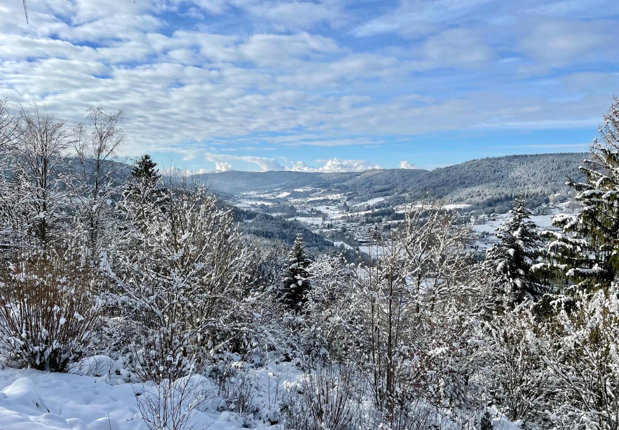 Le Gite Cozy De Bouvacote Avec Vue Panoramique Et Sauna เลอโธลี ภายนอก รูปภาพ